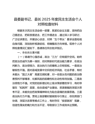 县委副书记、县长2025年度民主生活会个人对照检查材料