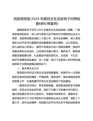 民政局党组2025年度民主生活会班子对照检查材料(带案例)