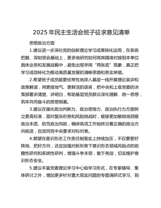 2025年民主生活会班子征求意见清单