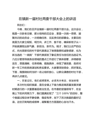 在镇新一届村社两委干部大会上的讲话
