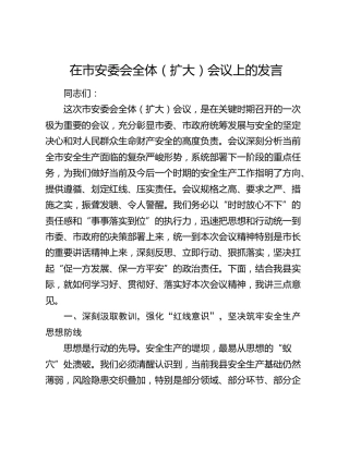 在市安委会全体（扩大）会议上的发言