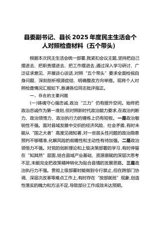 县委副书记、县长2025年度民主生活会个人对照检查材料（五个带头）