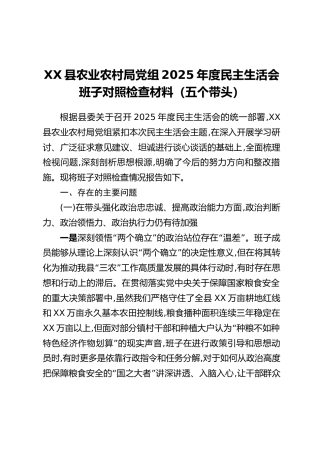 XX县农业农村局党组2025年度民主生活会班子对照检查材料（五个带头）