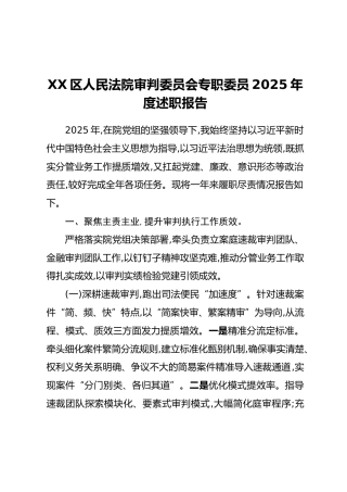XX区人民法院审判委员会专职委员2025年度述职报告（2）