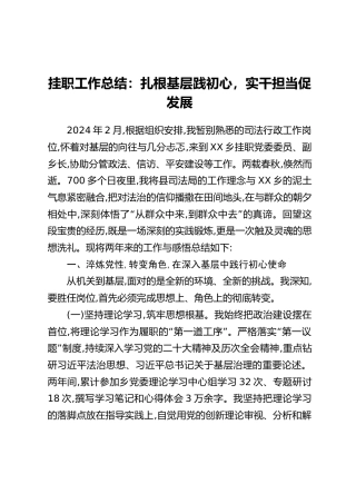 挂职工作总结：扎根基层践初心，实干担当促发展