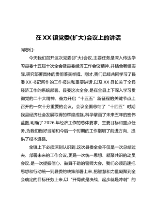 在XX镇党委(扩大)会议上的讲话（3）