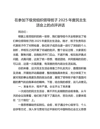 在参加下级党组织领导班子2025年度民主生活会上的点评讲话