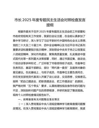 市长2025年度专题民主生活会对照检查发言提纲（贯彻落实中央八项规定精神学习教育查摆问题整改情况+五个带头）