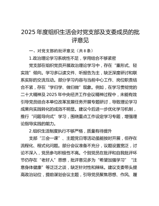 2025年度组织生活会对党支部及支委成员的批评意见