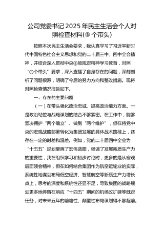 国企党委书记2025年民主生活会个人对照检查材料4