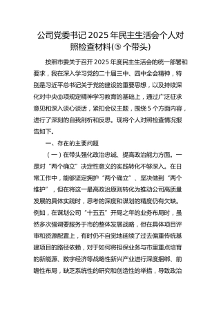 国企党委书记2025年民主生活会个人对照检查材料3