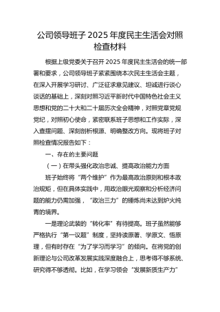 国企班子2025年度民主生活会对照检查材料