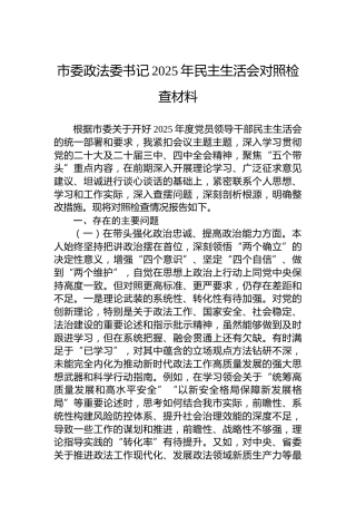 市委政法委书记2025年民主生活会对照检查材料