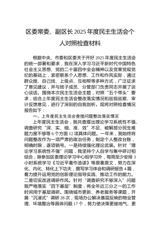 区委常委、副区长2025年度民主生活会个人对照检查材料