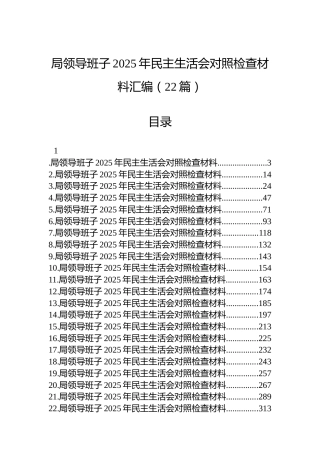 局领导班子2025年民主生活会对照检查材料汇编（22篇）
