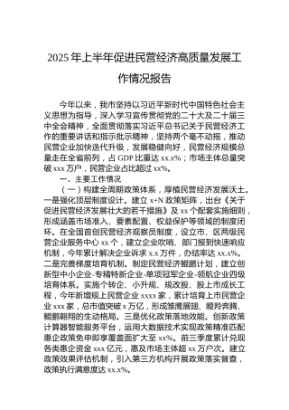 2025年上半年促进民营经济高质量发展工作情况报告