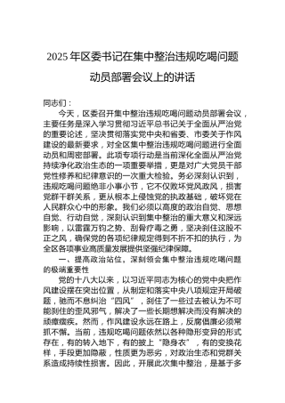 2025年区委书记在集中整治违规吃喝问题动员部署会议上的讲话