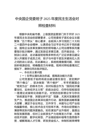 中央国企党委班子2025年度民主生活会对照检查材料
