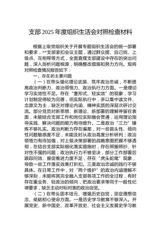 支部2025年度组织生活会对照检查材料