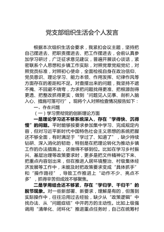 党支部组织生活会个人发言