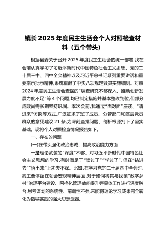 镇长2025年度民主生活会个人对照检查材料（五个带头）