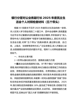 银行分管对公业务副行长2025年度民主生活会个人对照检查材料（五个带头）