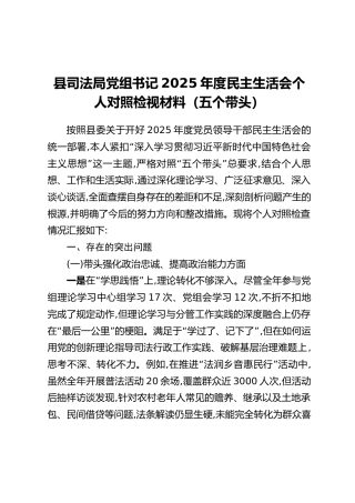 县司法局党组书记2025年度民主生活会个人对照检视材料（五个带头）