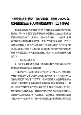 公司党总支书记、执行董事、经理2025年度民主生活会个人对照检查材料（五个带头）