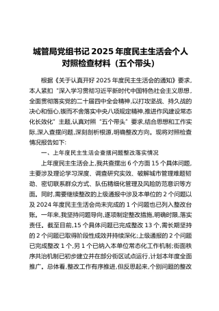 城管局党组书记2025年度民主生活会个人对照检查材料（五个带头）
