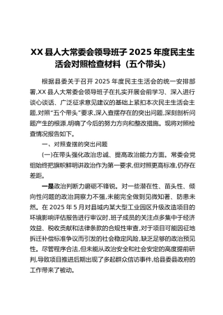 XX县人大常委会领导班子2025年度民主生活会对照检查材料（五个带头）