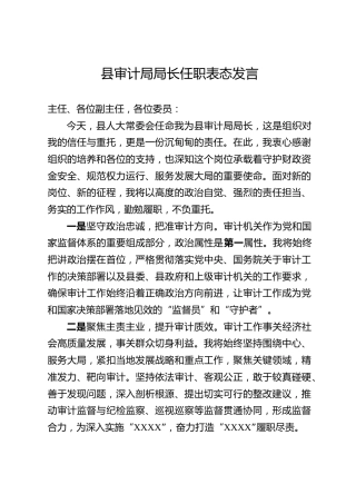 县审计局局长任职表态发言