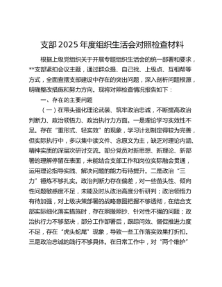 支部2025年度组织生活会对照检查材料（五个带头）