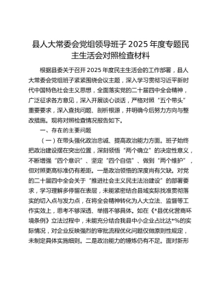 县人大常委会党组领导班子2025年度专题民主生活会对照检查材料（五个带头+典型案例剖析）