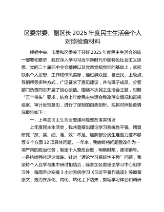 区委常委、副区长2025年度民主生活会个人对照检查材料（上年度查摆问题整改情况+五个带头+典型案例剖析）