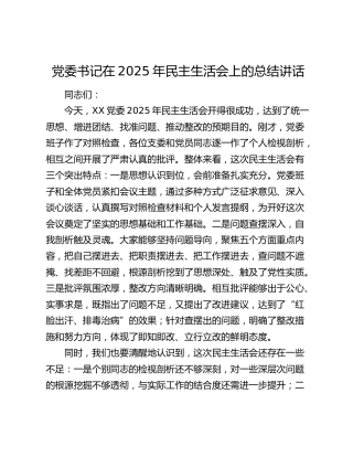 党委书记在2025年民主生活会上的总结讲话