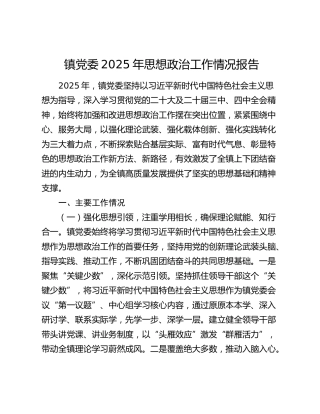 镇党委2025年思想政治工作情况报告