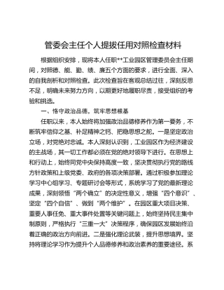 管委会主任个人提拔任用对照检查材料