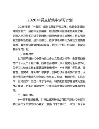 2026年党支部集中学习计划