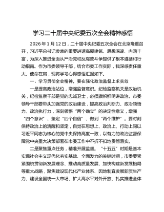 学习二十届中央纪委五次全会精神感悟（2）