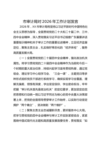 市审计局对2026年工作计划发言