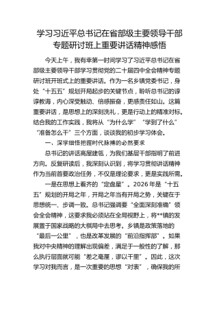 学习习近平总书记在省部级主要领导干部四中全会专题研讨班上重要讲话精神感悟3