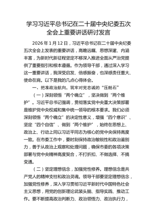 学习二十届中央纪委五次全会重要讲话研讨发言