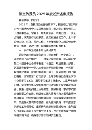 乡镇宣传委员2025年度述责述廉报告