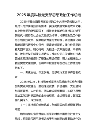 2025年度公司党支部思想政治工作总结