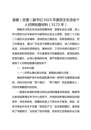 县委（区委）副书记2025年度民主生活会个人对照检查材料（5172字）