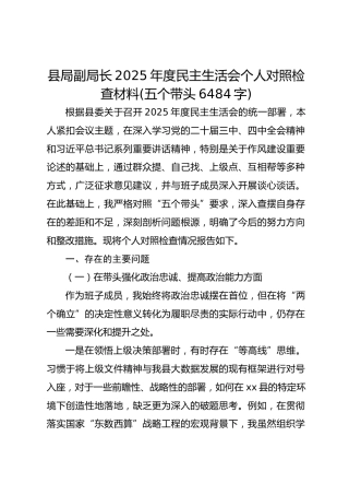 县局副局长2025年度民主生活会个人对照检查材料(五个带头6484字)