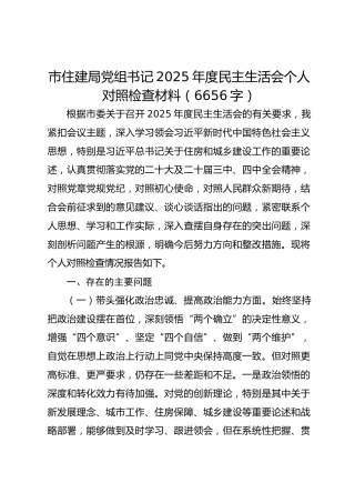 市住建局党组书记2025年度民主生活会个人对照检查材料（6656字）