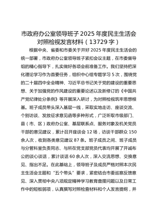 市政府办公室领导班子2025年度民主生活会对照检视发言材料（13729字）