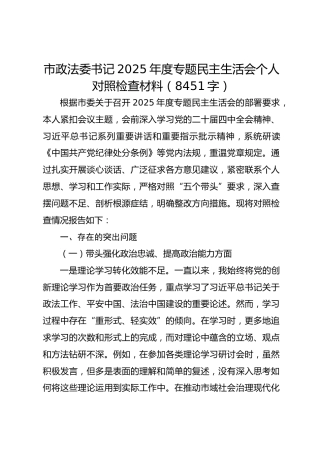 市政法委书记2025年度专题民主生活会个人对照检查材料（8451字）