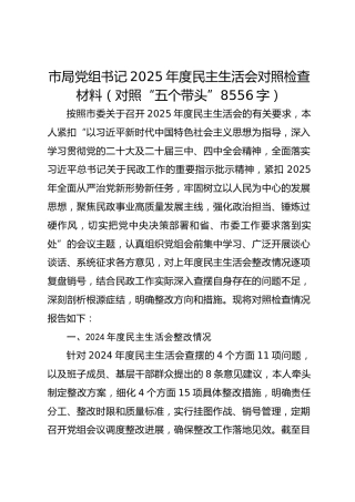 市局党组书记2025年度民主生活会对照检查材料（对照“五个带头” 8556字）